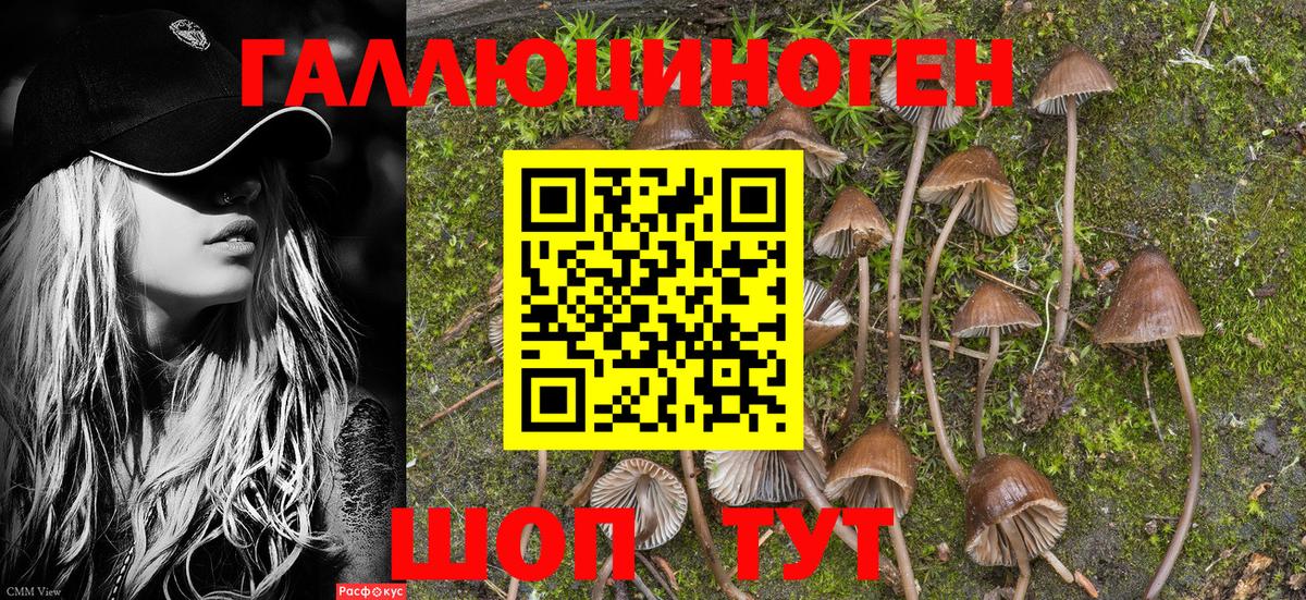 Псилоцибиновые грибы Magic Shrooms Альметьевск